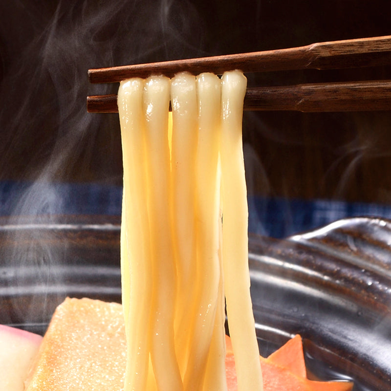 青森なべ焼うどん 2ケース20食入り