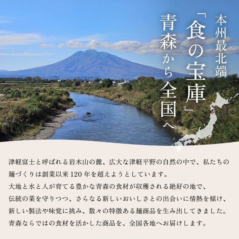 青森ネバリゴシ麺咖喱うどん 6食入り