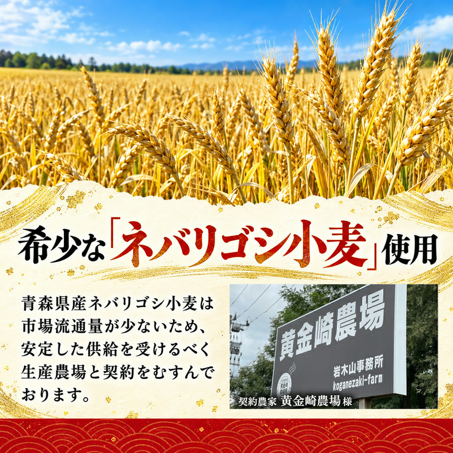 天ぷらうどん 1食入り