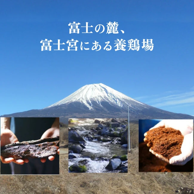 コラボ商品】マルフク×高砂食品「福が、来た・青森なべ焼うどん