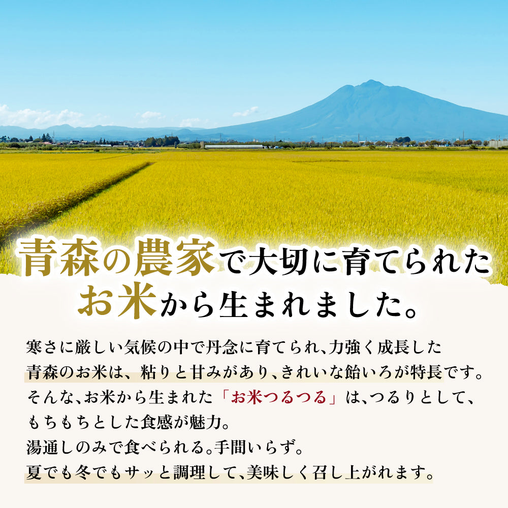 お米つるつる うどんタイプ 10食入り【クール】