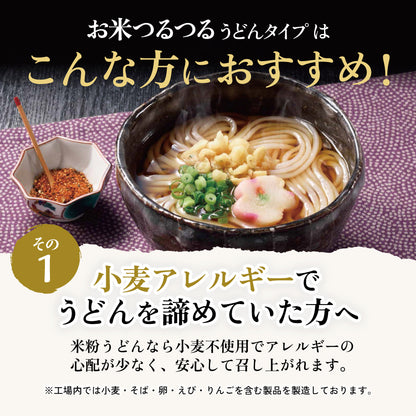お米つるつる うどんタイプ 10食入り【クール】